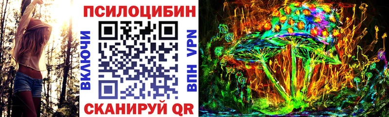 Псилоцибиновые грибы Psilocybine cubensis  даркнет сайт  hydra ссылки  Назарово 